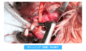 ポリッシング中の様子の写真
