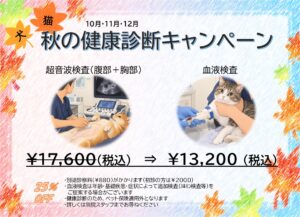 alt="犬・猫の秋の健康診断キャンペーン。10~12月限定で、超音波検査(腹部+胸部)と血液検査が通常17,600円(税込)から25%OFFの13,200円(税込)。別途診察料がかかります。"